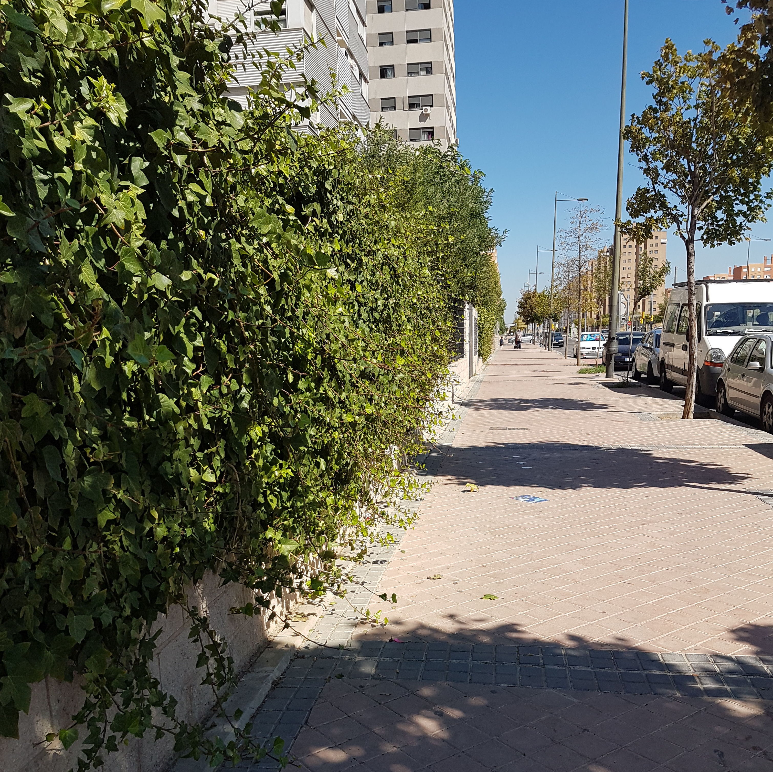 Mantenimiento de Jardines: Servicios de Solventa Mantenimiento de Jardines: Servicios de Solventa