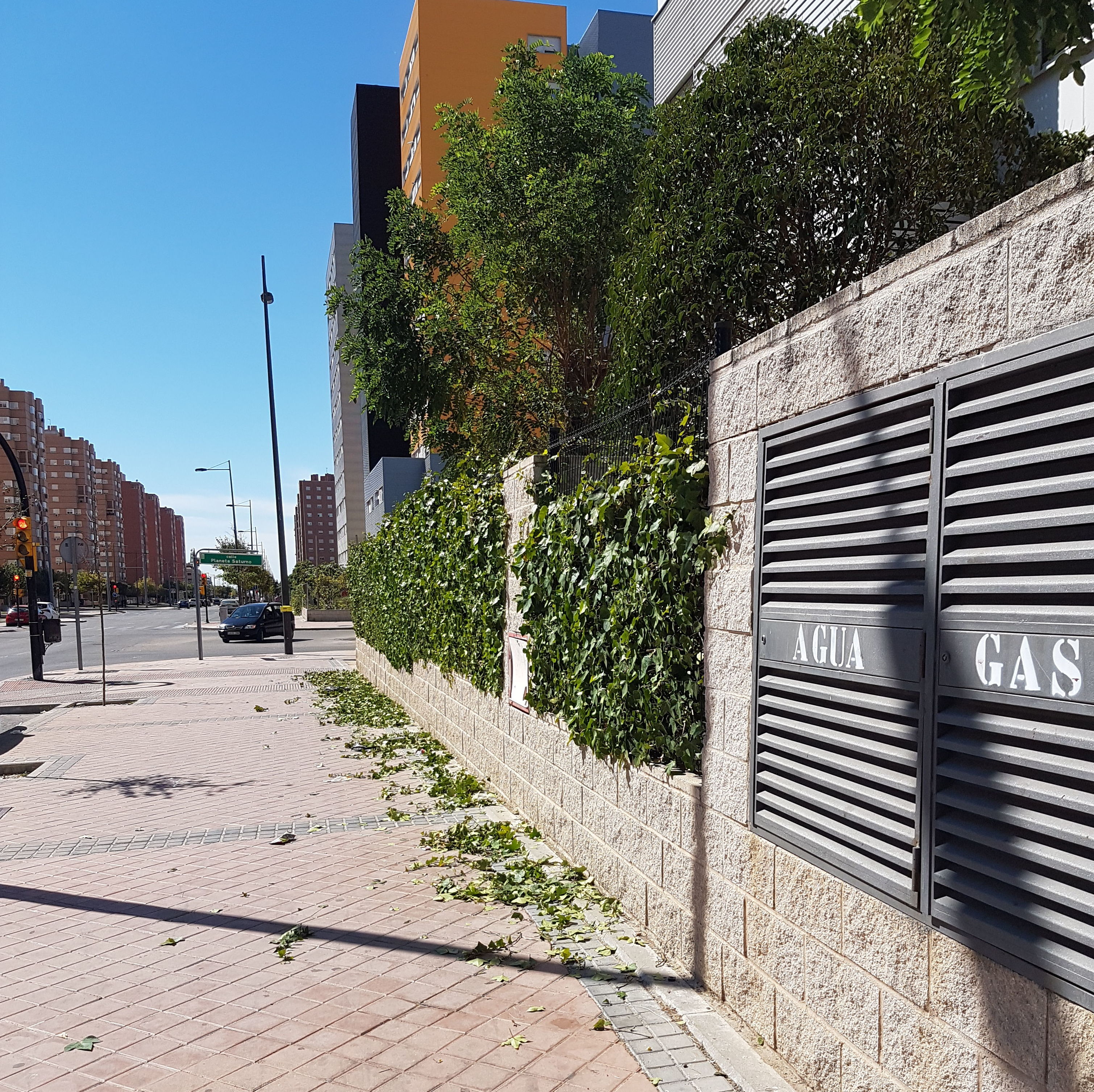 Mantenimiento de Jardines: Servicios de Solventa Mantenimiento de Jardines: Servicios de Solventa