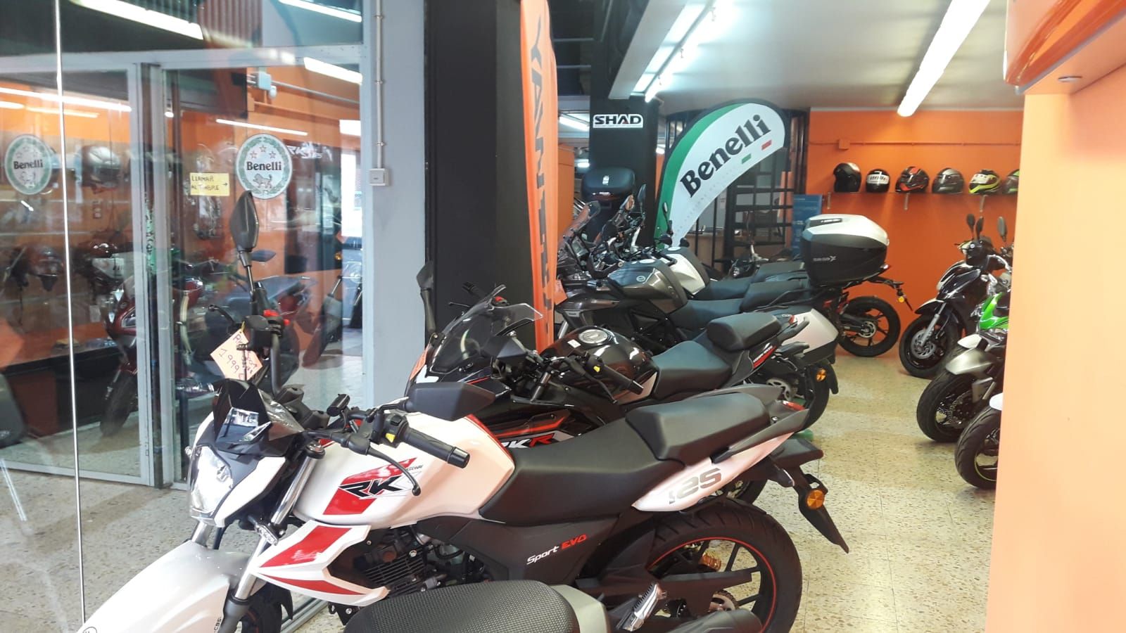 Benelli: Motos de Moto Sport Lleida Benelli: Motos de Moto Sport Lleida