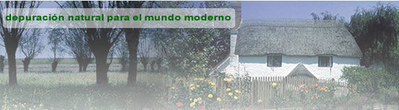 Fosas Sépticas: Servicios de Fontanería Marco Más, S. L. Fosas Sépticas: Servicios de Fontanería Marco Más, S. L.