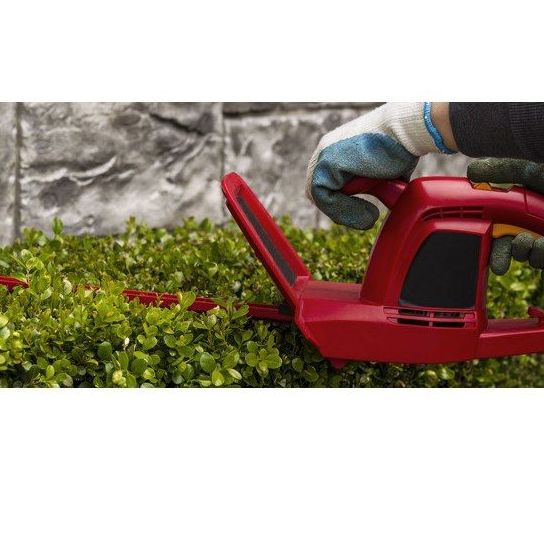 Podas: Servicios de Jardinería FG Podas: Servicios de Jardinería FG