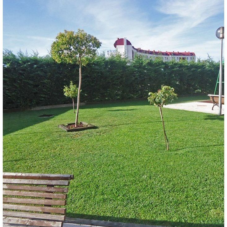 Mantenimiento de jardines: Servicios de Jardinería FG Mantenimiento de jardines: Servicios de Jardinería FG