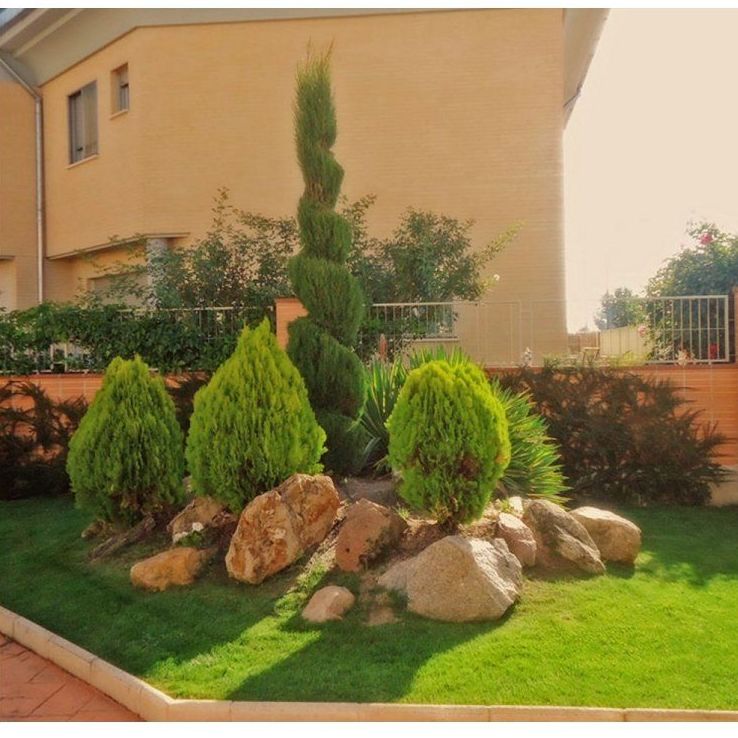 Siembras: Servicios de Jardinería FG Siembras: Servicios de Jardinería FG