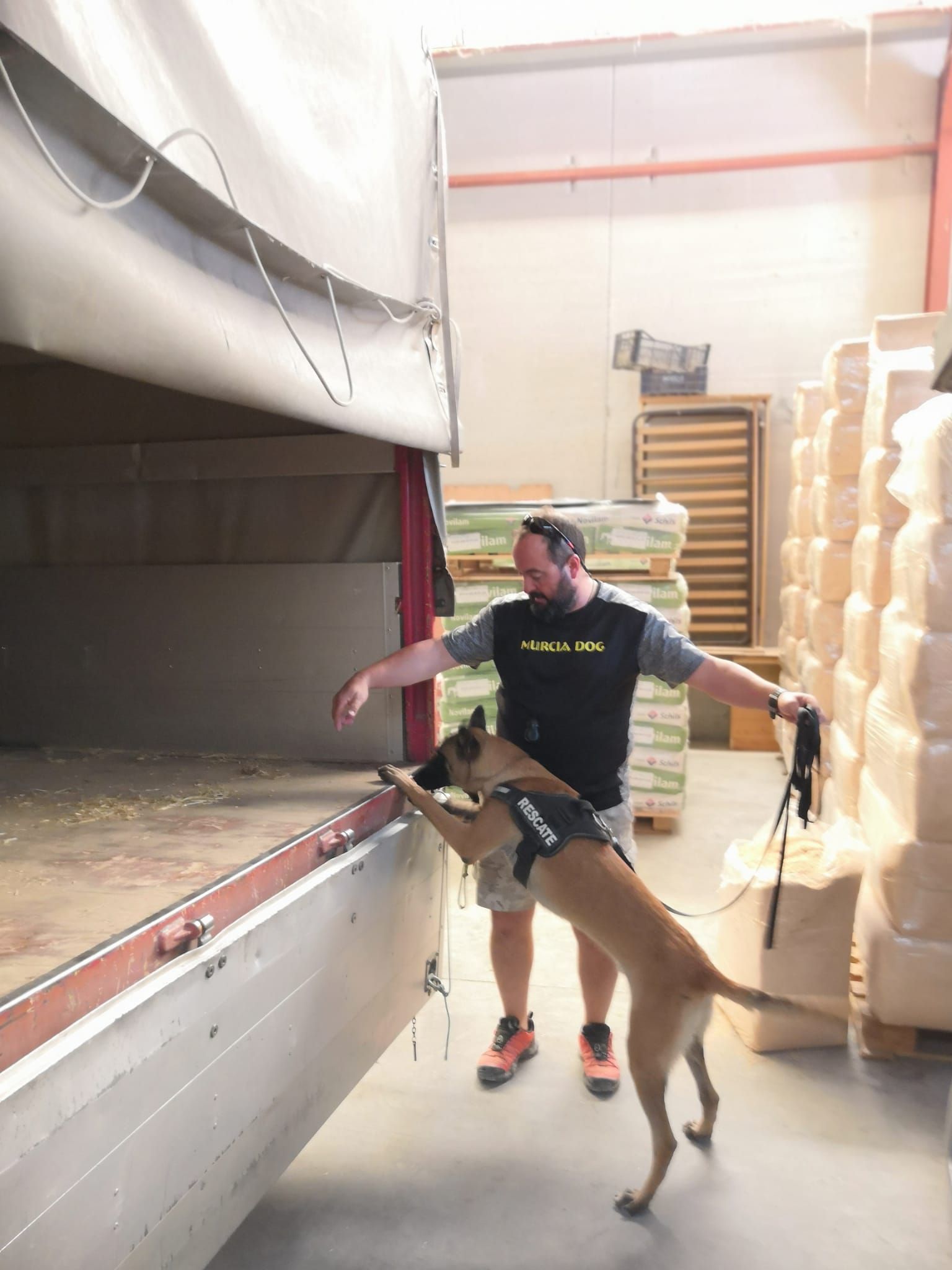 Cursos y adiestramiento: Servicios de Murcia Dog Cursos y adiestramiento: Servicios de Murcia Dog