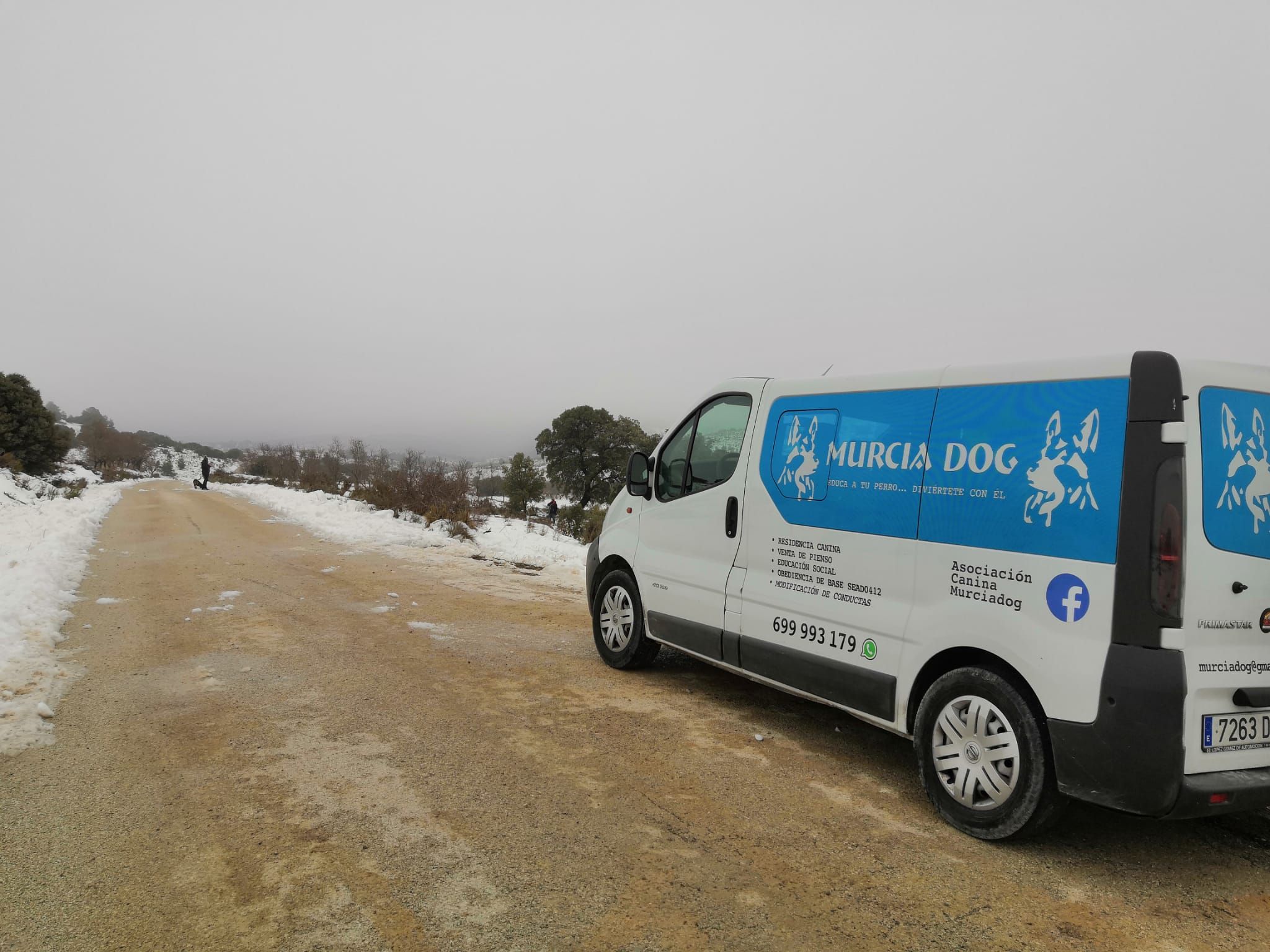 Entrega y recogida a domicilio: Servicios de Murcia Dog Entrega y recogida a domicilio: Servicios de Murcia Dog