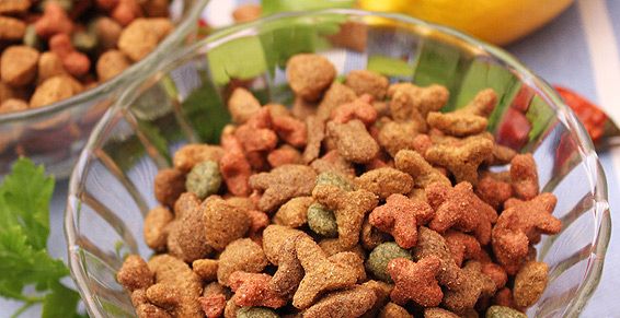 Piensos para mascotas: Servicios de Serveis Veterinaris Esparreguera Piensos para mascotas: Servicios de Serveis Veterinaris Esparreguera