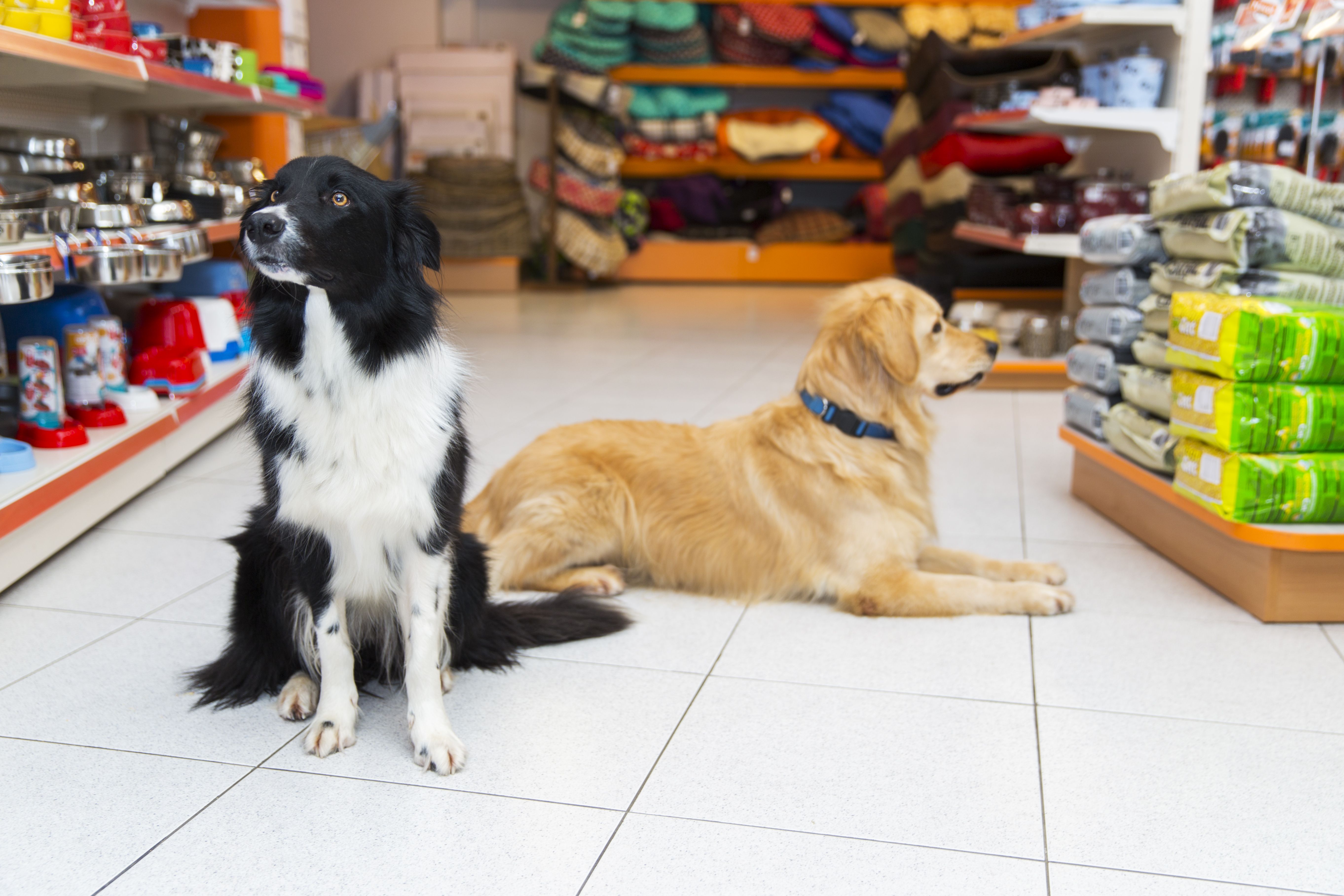 Tienda: Servicios de Serveis Veterinaris Esparreguera Tienda: Servicios de Serveis Veterinaris Esparreguera