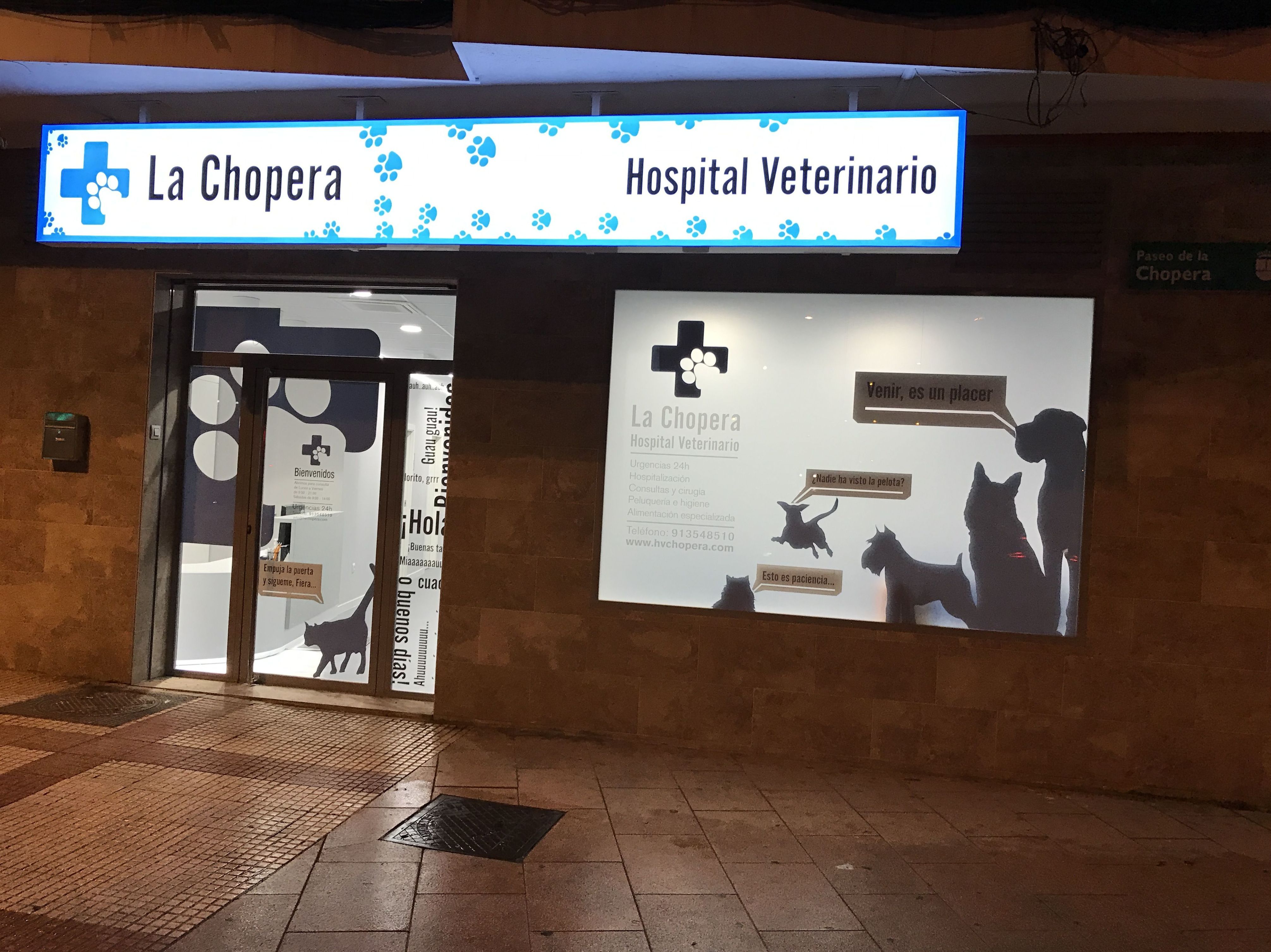 veterinario la alcayna