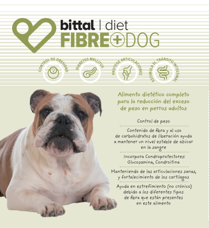 BITTAL Dog Fibre + 4 kg: Tienda para Mascotas de Clínica Veterinaria Doble Dog BITTAL Dog Fibre + 4 kg: Tienda para Mascotas de Clínica Veterinaria Doble Dog