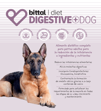 BITTAL Dog Digestive 4 kg: Tienda para Mascotas de Clínica Veterinaria Doble Dog BITTAL Dog Digestive 4 kg: Tienda para Mascotas de Clínica Veterinaria Doble Dog