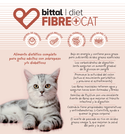 BITTAL Cat Fibre+ 4kg: Tienda para Mascotas de Clínica Veterinaria Doble Dog BITTAL Cat Fibre+ 4kg: Tienda para Mascotas de Clínica Veterinaria Doble Dog