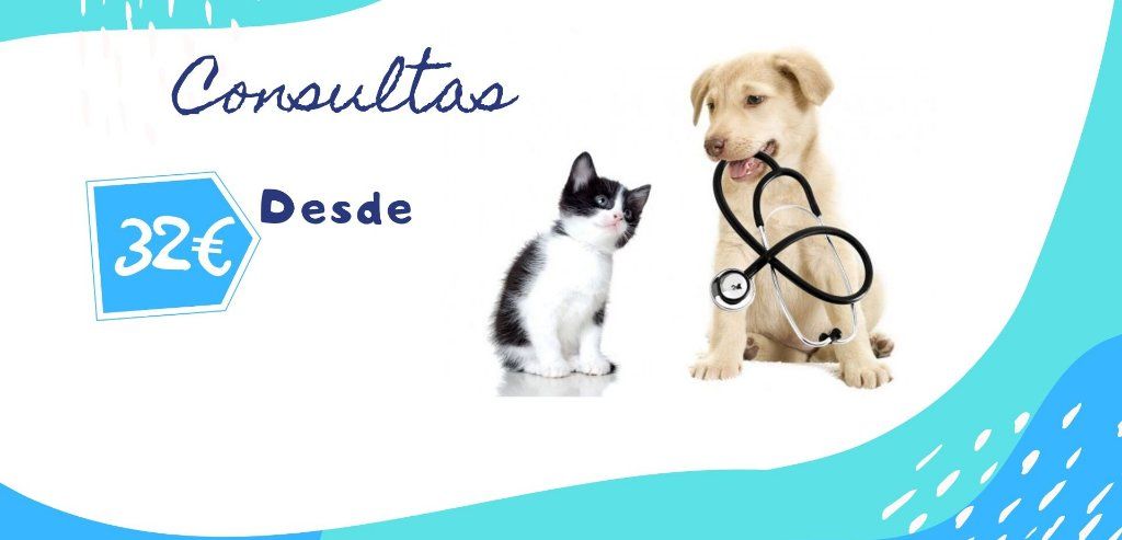 Clínica veterinaria 24h en San Agustín de Guadalix