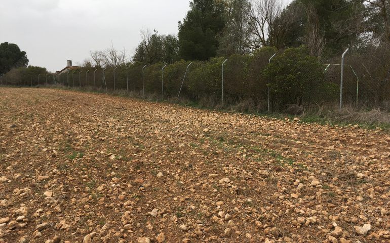 Finca de regadio paraje la Niña: Inmuebles Urbanos de ANTONIO ARAGONÉS DÍAZ PAVÓN Finca de regadio paraje la Niña: Inmuebles Urbanos de ANTONIO ARAGONÉS DÍAZ PAVÓN