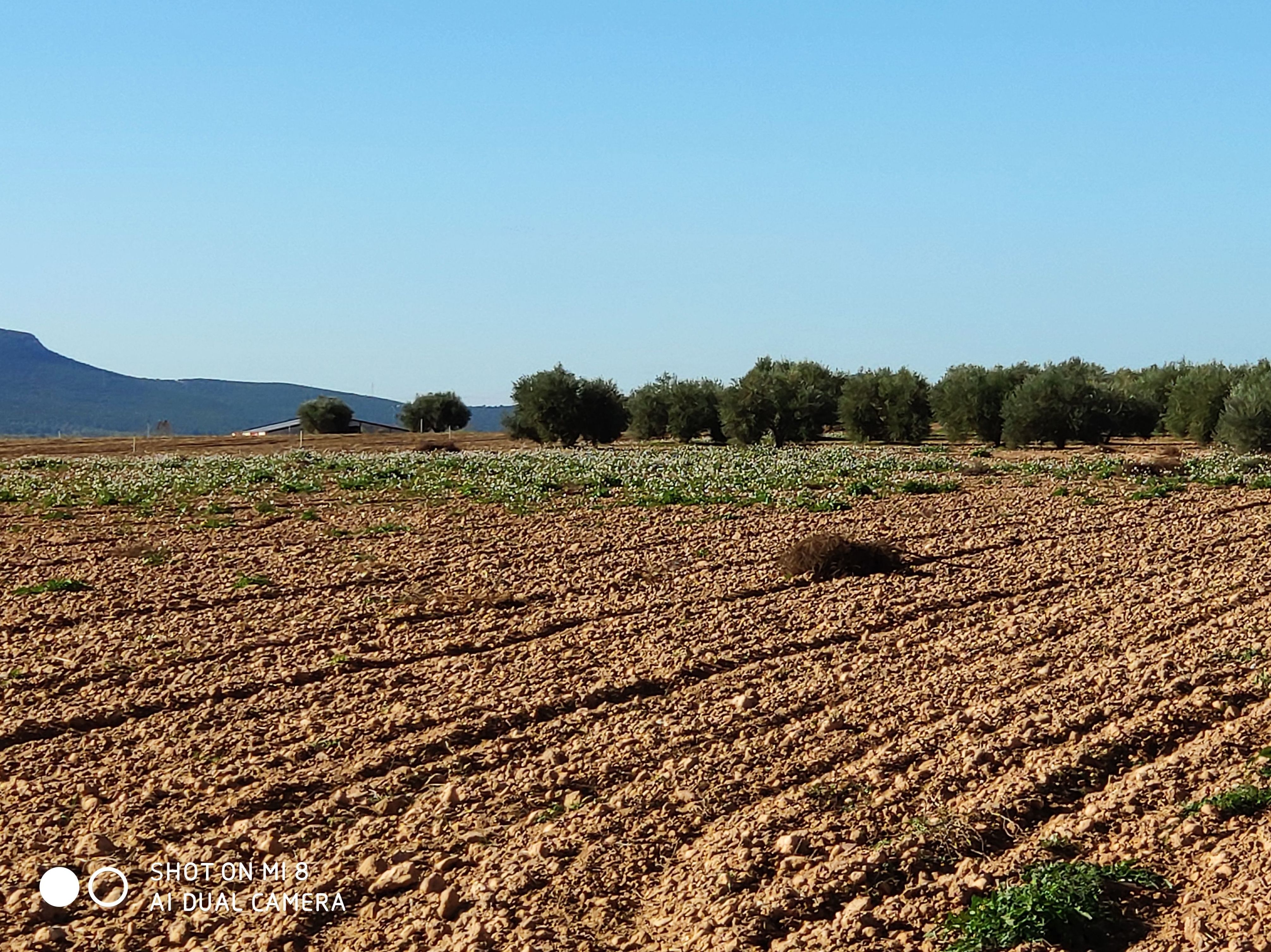 Venta de finca 4 hectáreas de regadio: Inmuebles Urbanos de ANTONIO ARAGONÉS DÍAZ PAVÓN Venta de finca 4 hectáreas de regadio: Inmuebles Urbanos de ANTONIO ARAGONÉS DÍAZ PAVÓN