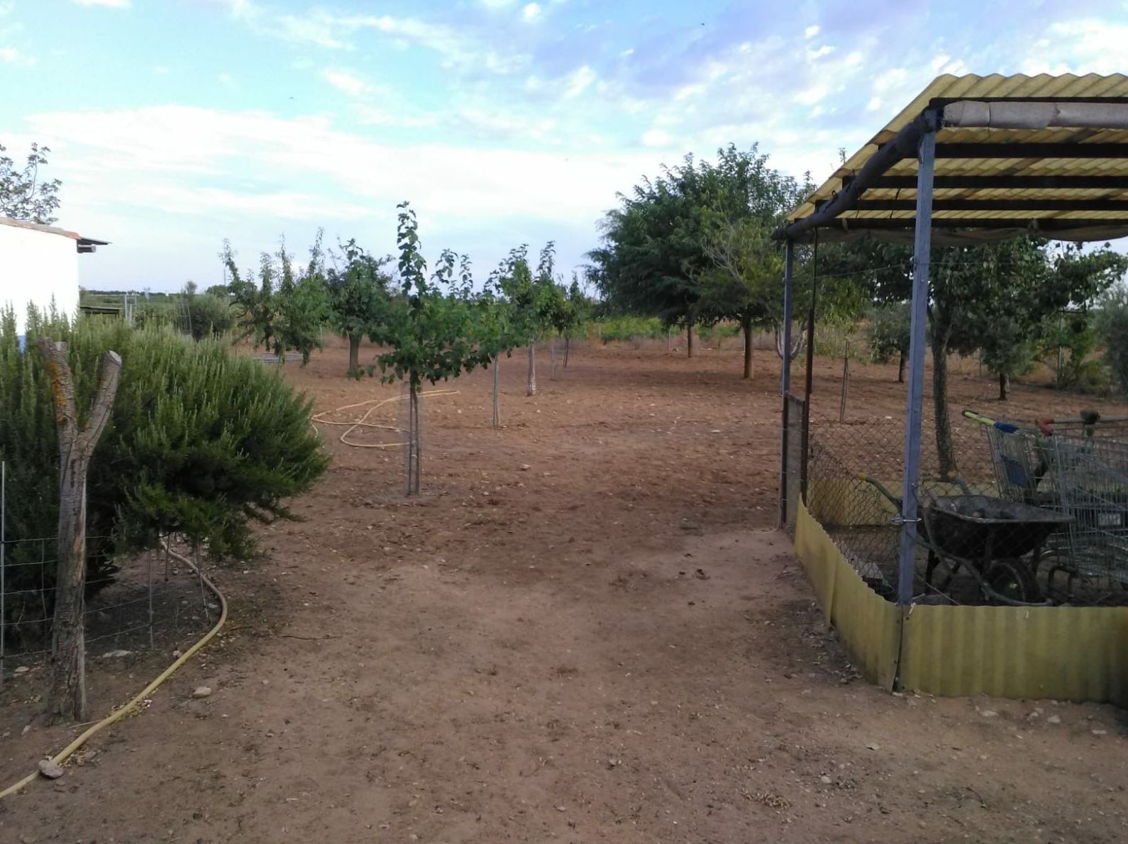 Venta de chalet en el campo: Inmuebles Urbanos de ANTONIO ARAGONÉS DÍAZ PAVÓN Venta de chalet en el campo: Inmuebles Urbanos de ANTONIO ARAGONÉS DÍAZ PAVÓN