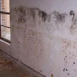 Limpieza de paredes