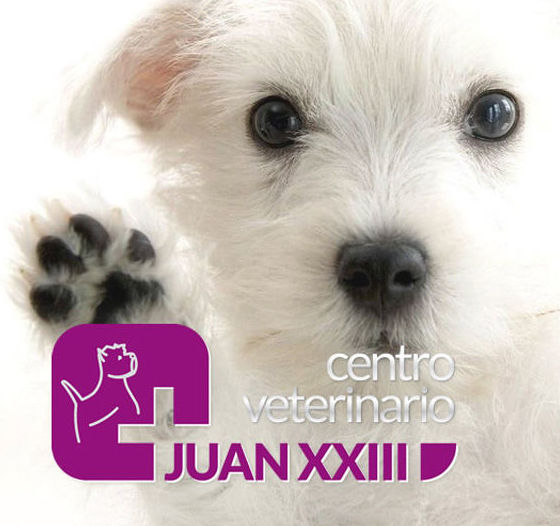 veterinarios valencia, centro veterinario juan xxiii