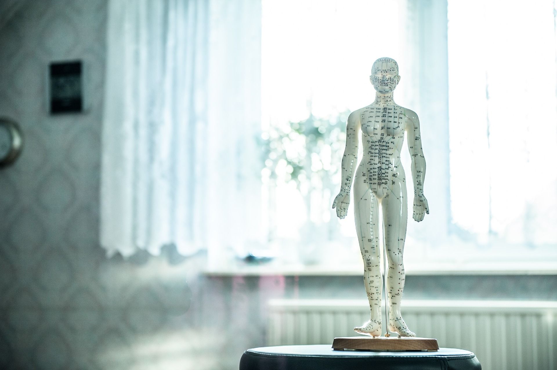 Osteopatía: Servicios de El Rincón del Prana Osteopatía: Servicios de El Rincón del Prana