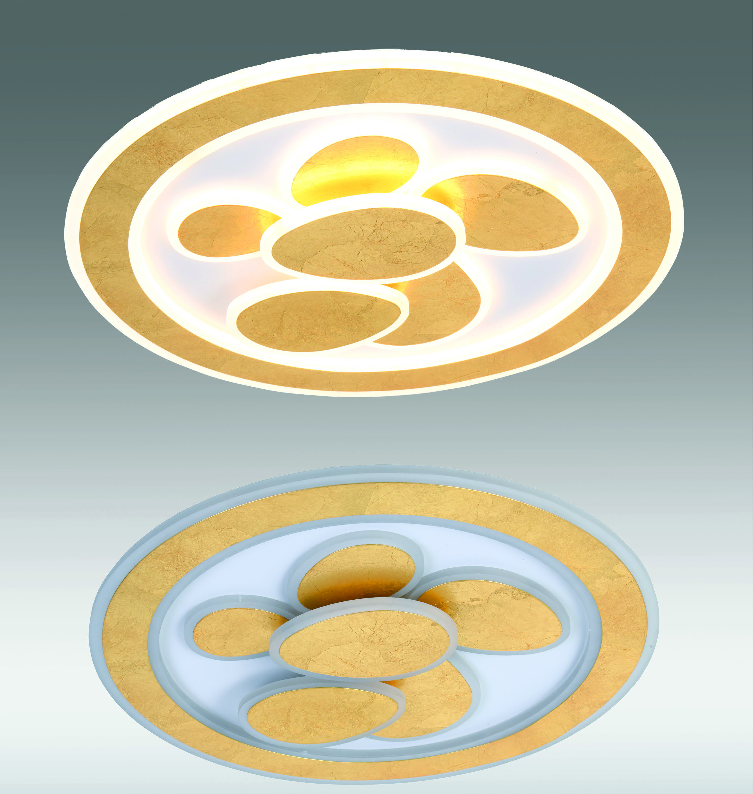 plafon pan de oro.jpg plafon pan de oro.jpg
