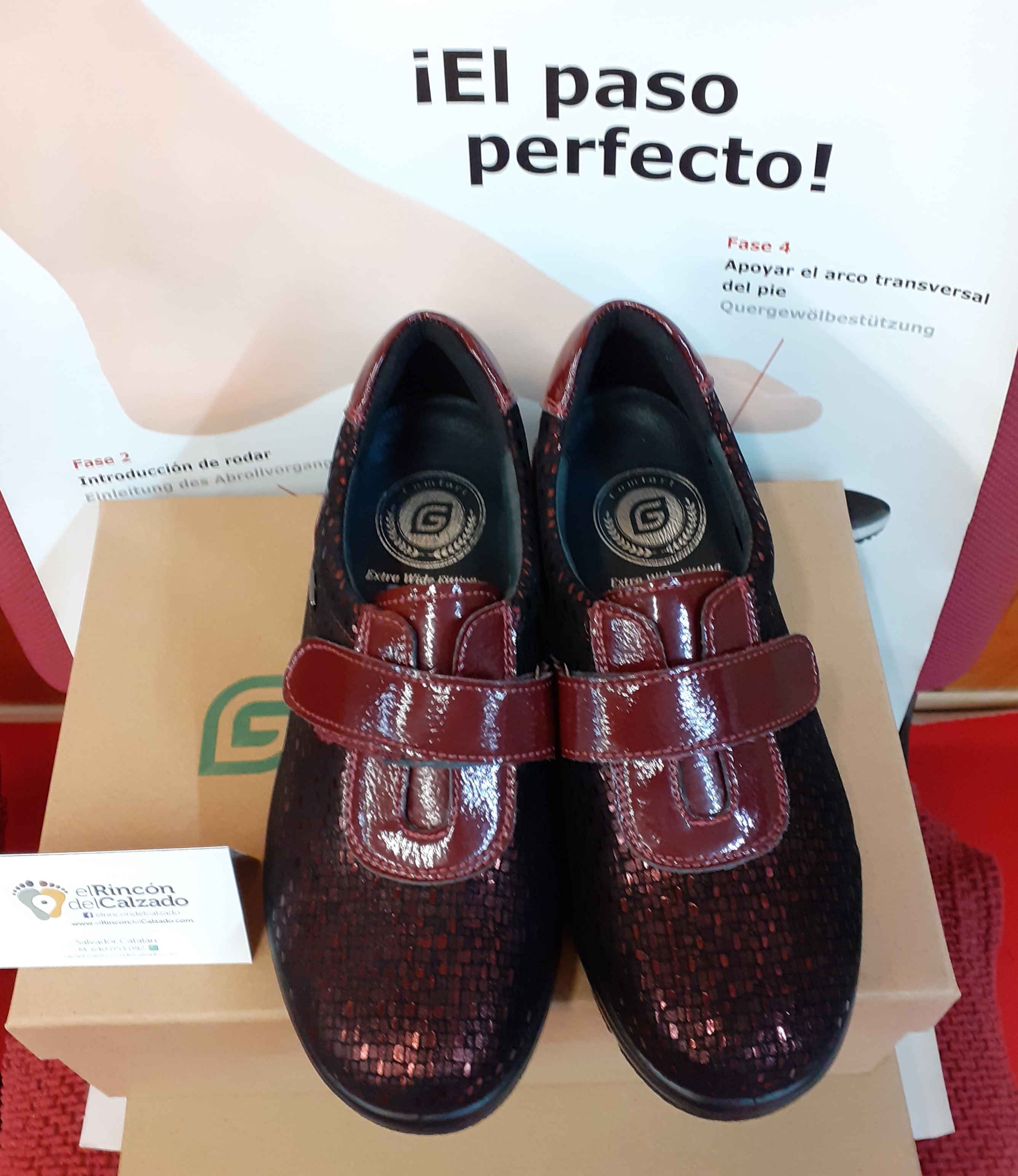 Zapato de señora: Catálogo de El Rincón Del Calzado Zapato de señora: Catálogo de El Rincón Del Calzado