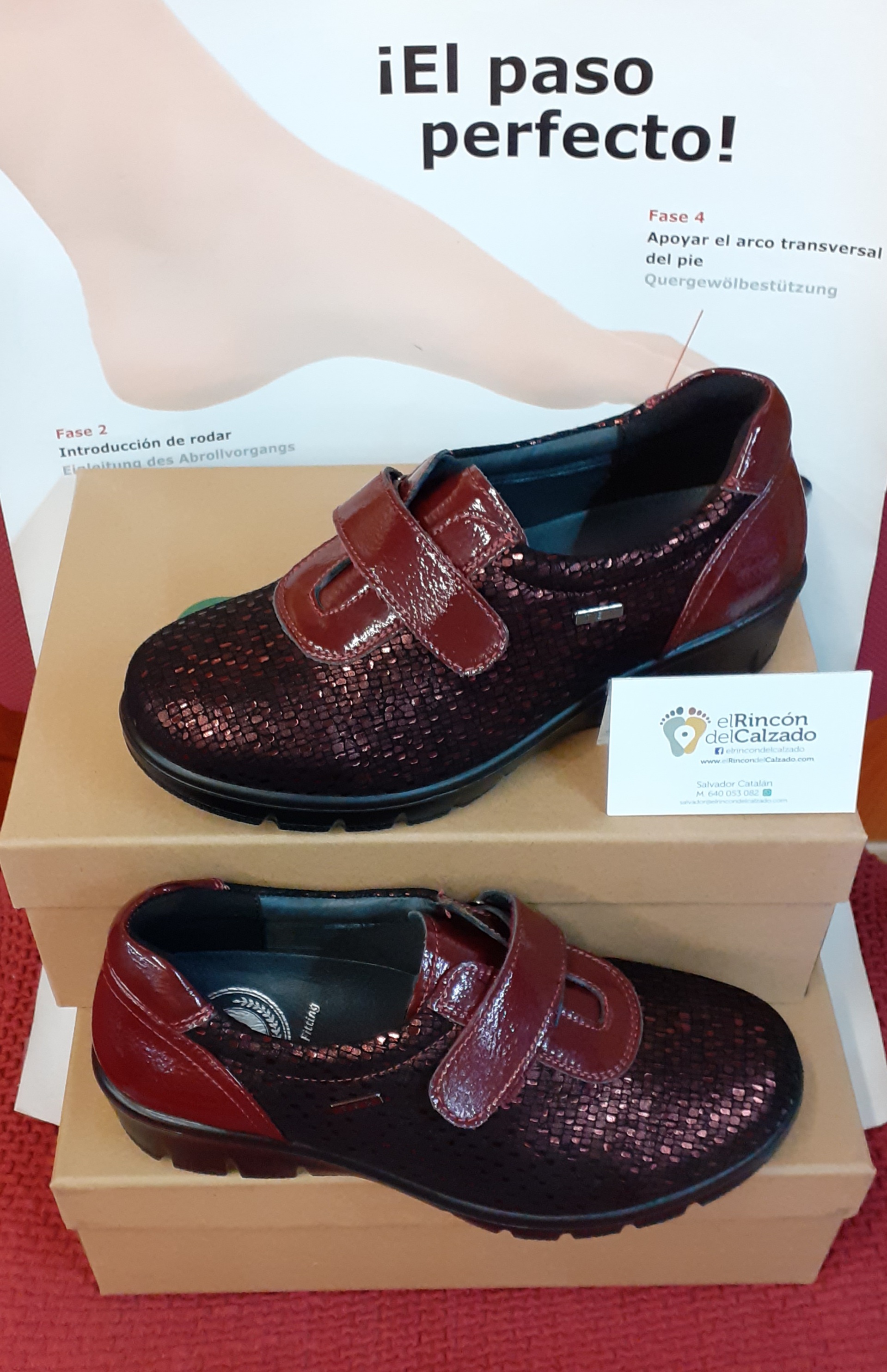 Zapato de señora: Catálogo de El Rincón Del Calzado Zapato de señora: Catálogo de El Rincón Del Calzado
