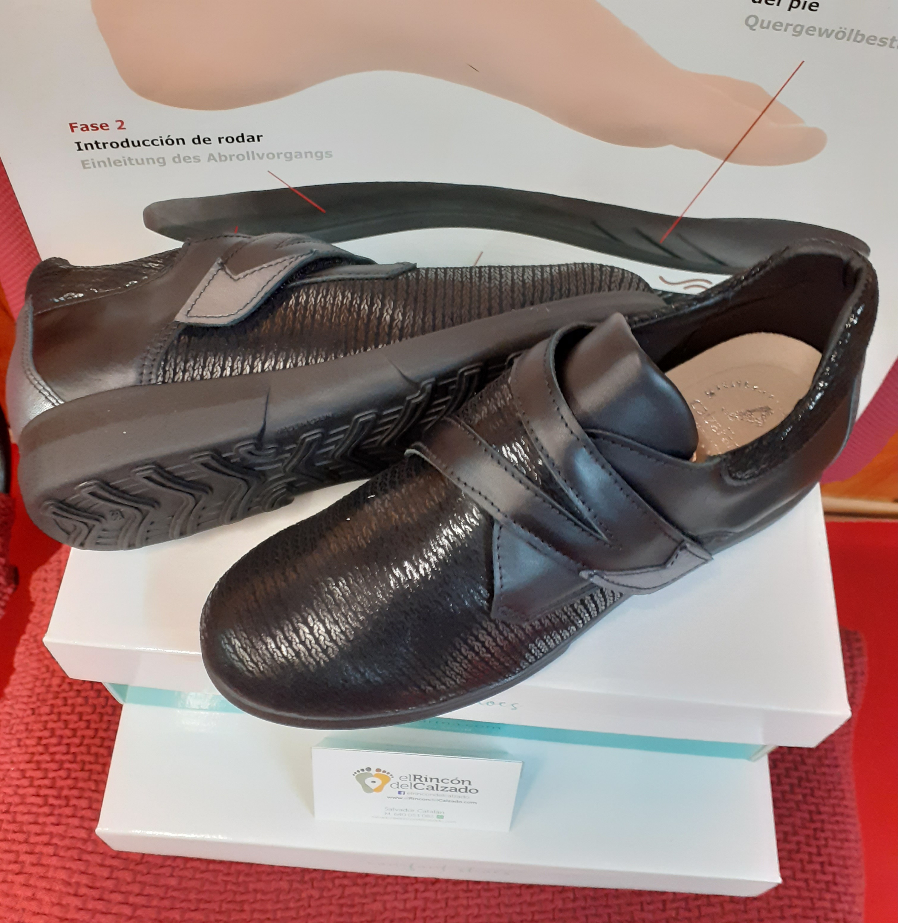 Zapato señora: Catálogo de El Rincón Del Calzado Zapato señora: Catálogo de El Rincón Del Calzado