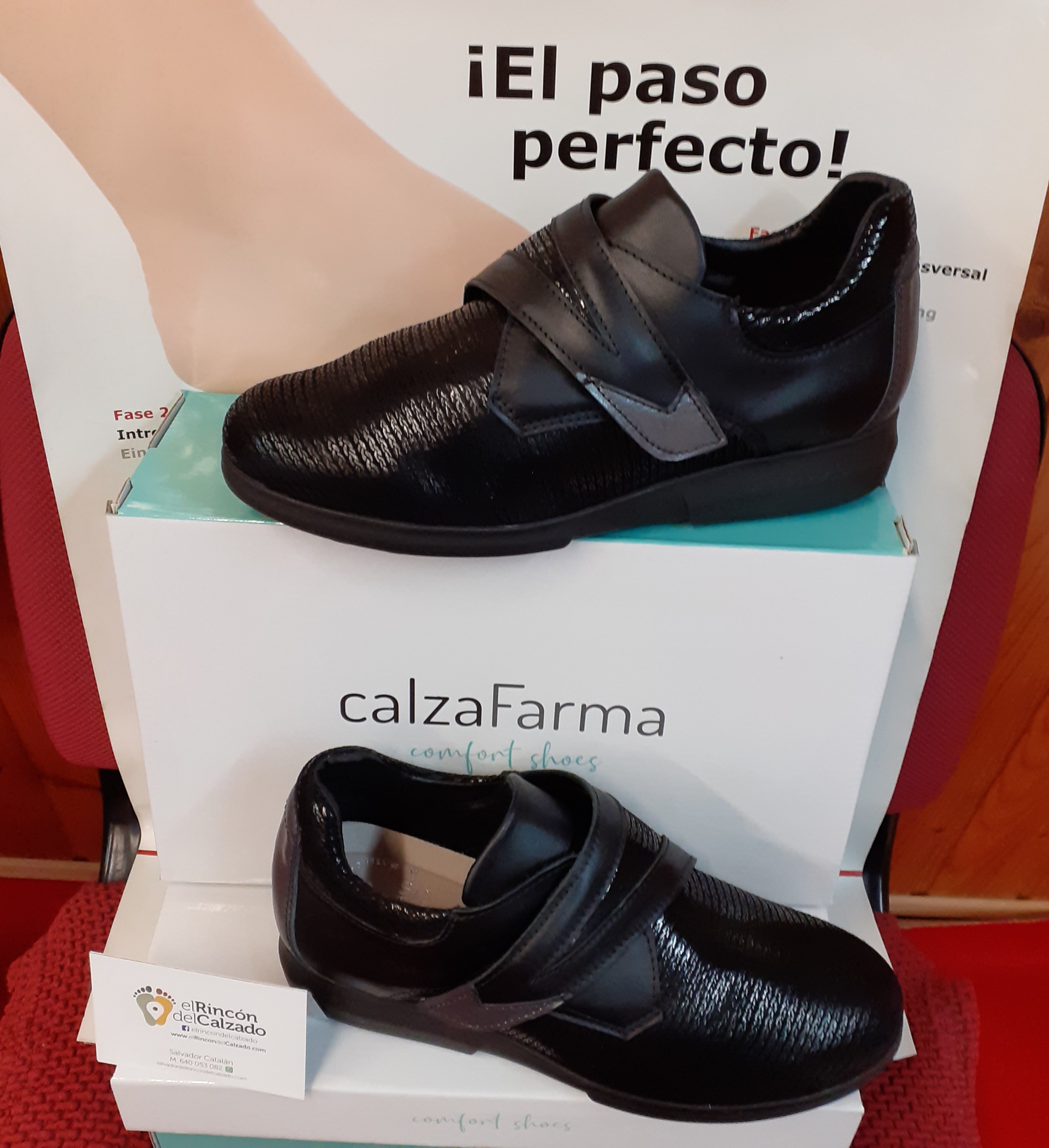 Zapato señora: Catálogo de El Rincón Del Calzado Zapato señora: Catálogo de El Rincón Del Calzado