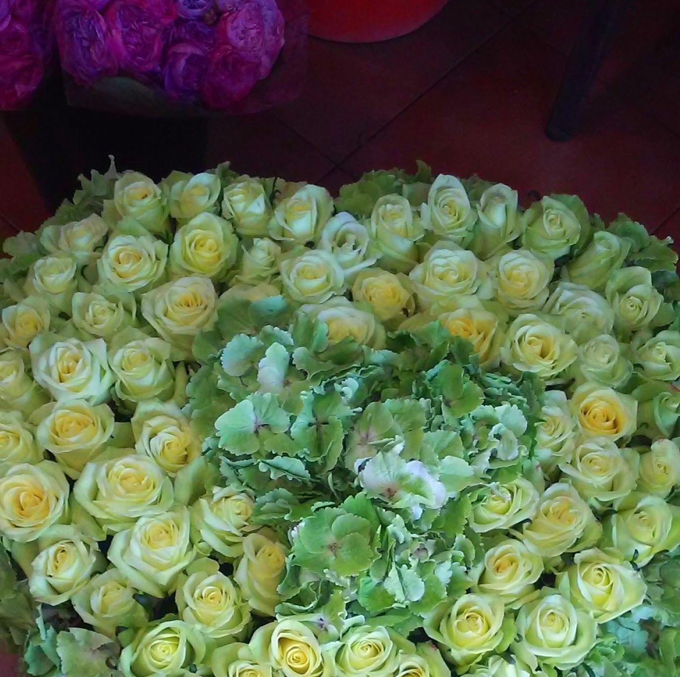 Corazones de Rosas: Productos y servicios de Greenflor Corazones de Rosas: Productos y servicios de Greenflor