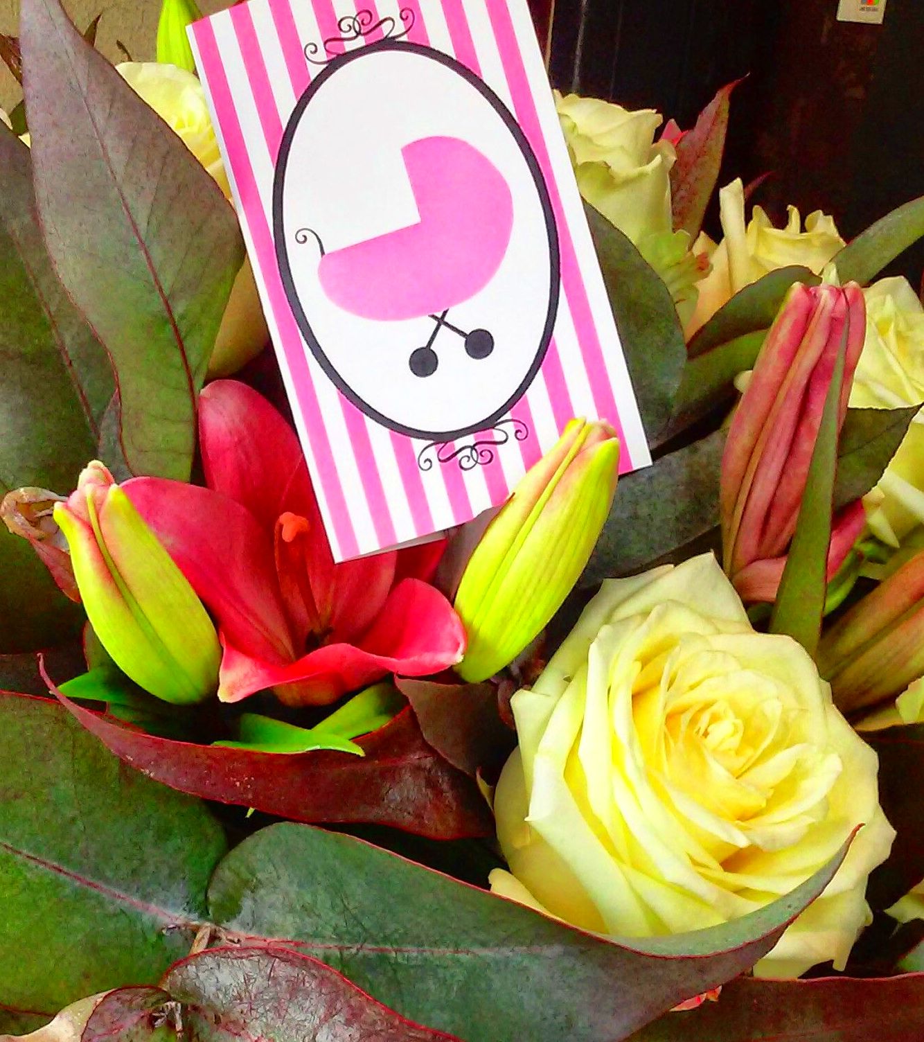 Bouquets @ domicilio. Quironflores , FloresQuiron. : Productos y servicios de Greenflor Bouquets @ domicilio. Quironflores , FloresQuiron. : Productos y servicios de Greenflor