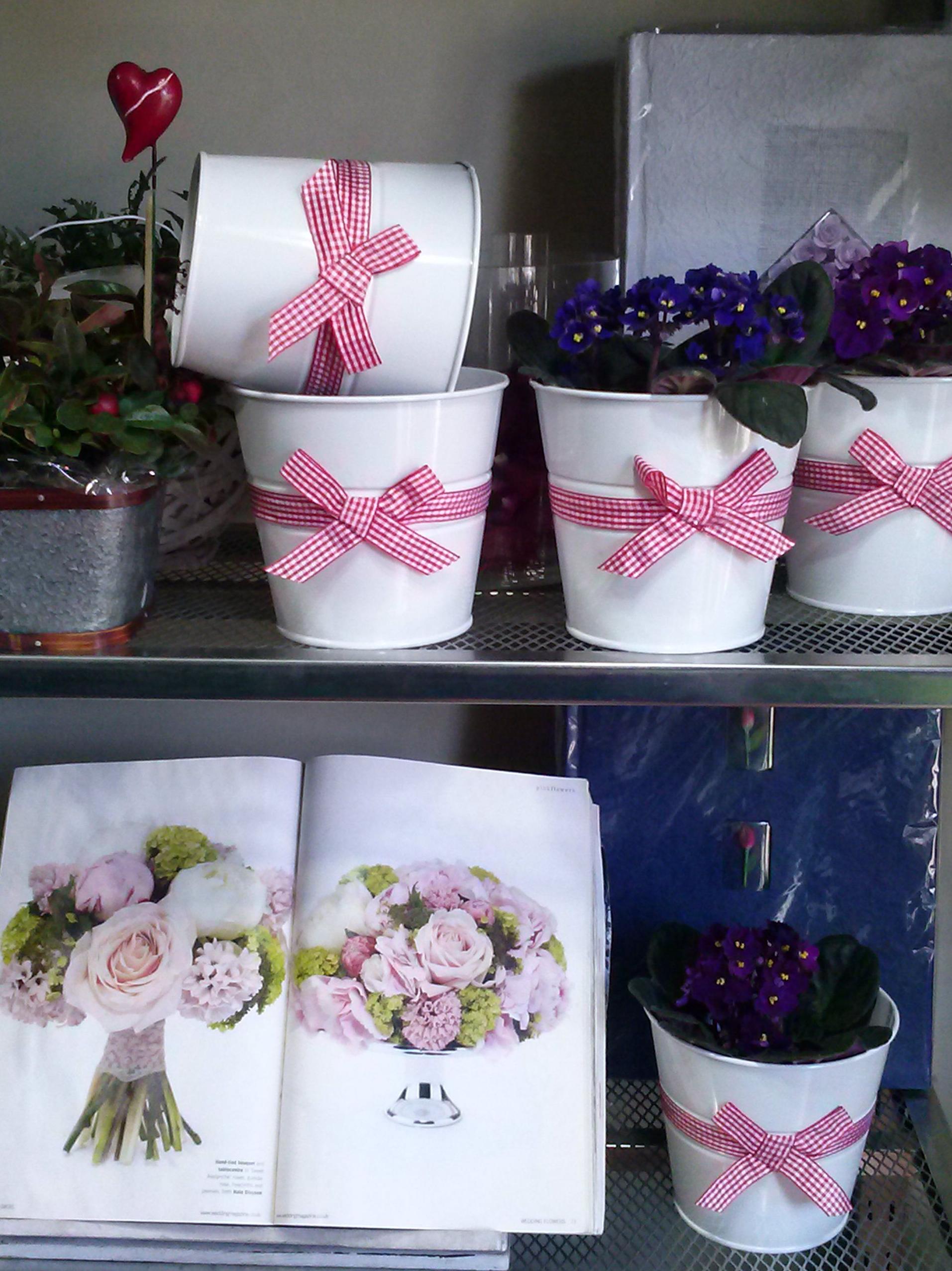 Greenflor, complementos. Greenflor, complementos.