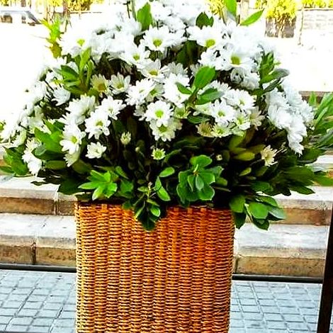 Greenflor Barcelona, especialistas en flores para eventos. Greenflor Barcelona, especialistas en flores para eventos.
