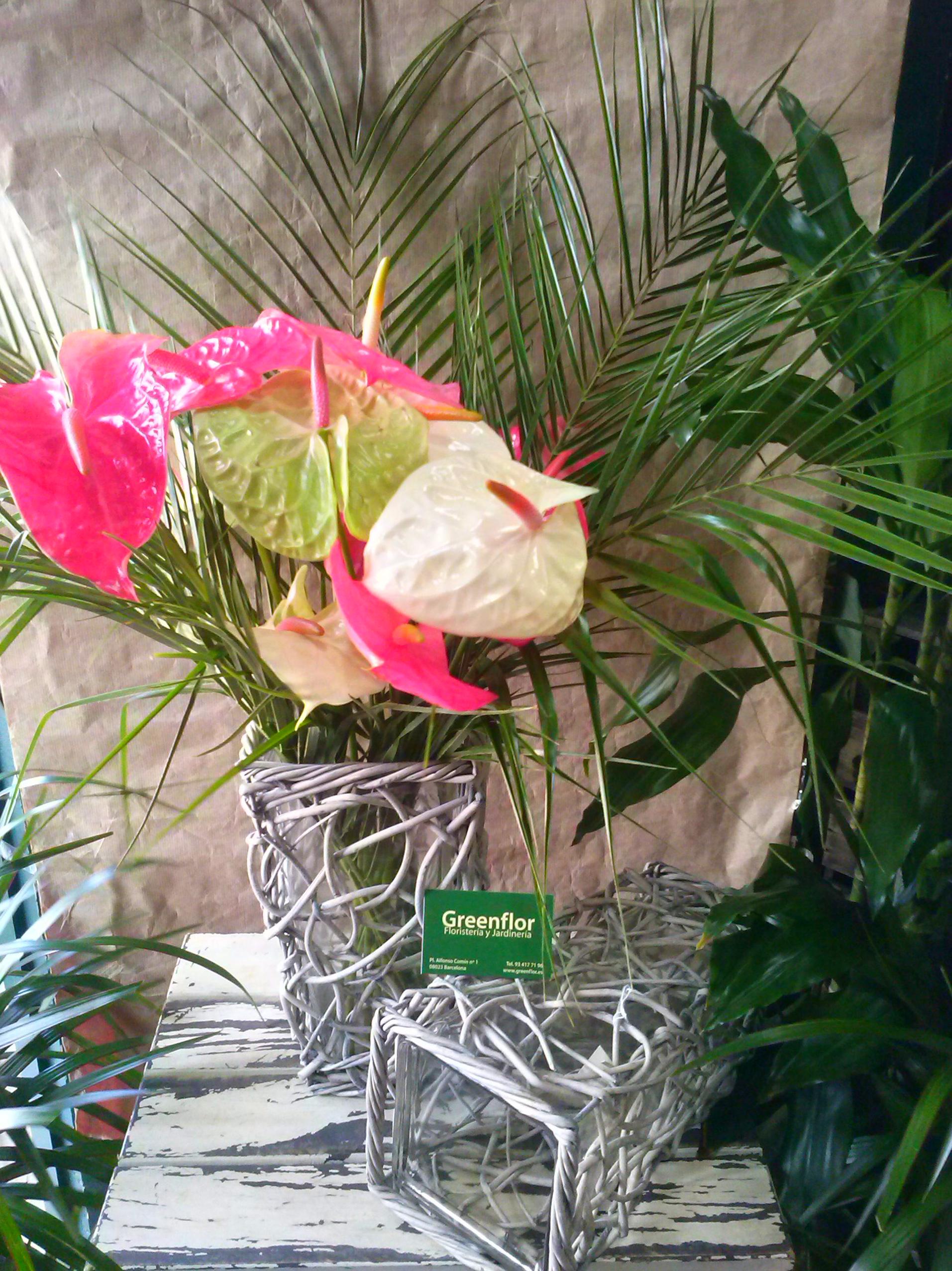 Jarrones de cristal con protección de mimbre. Jarrones de cristal con protección de mimbre.