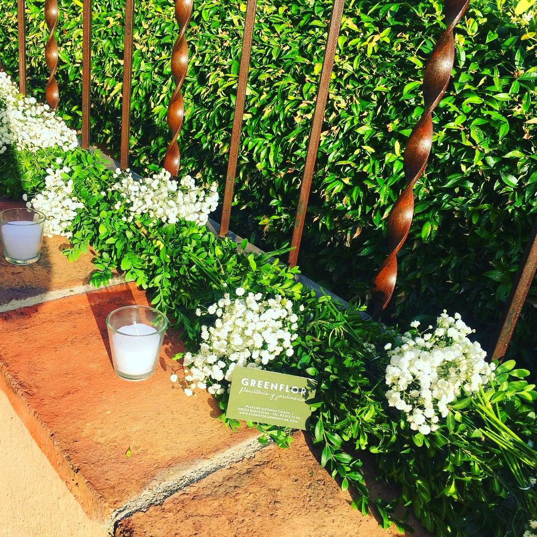 Guirnaldas de paniculata para bodas espectaculares. Guirnaldas de paniculata para bodas espectaculares.