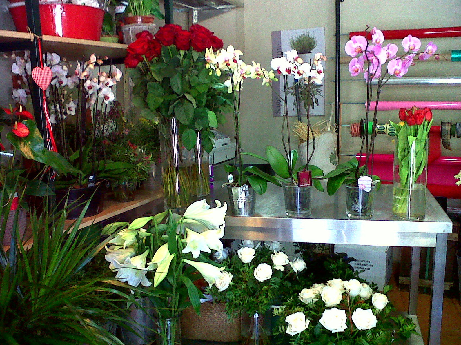 Floristeria Greenflor Floristeria Greenflor