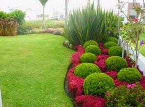 Jardineria.: Productos y servicios de Greenflor Jardineria.: Productos y servicios de Greenflor