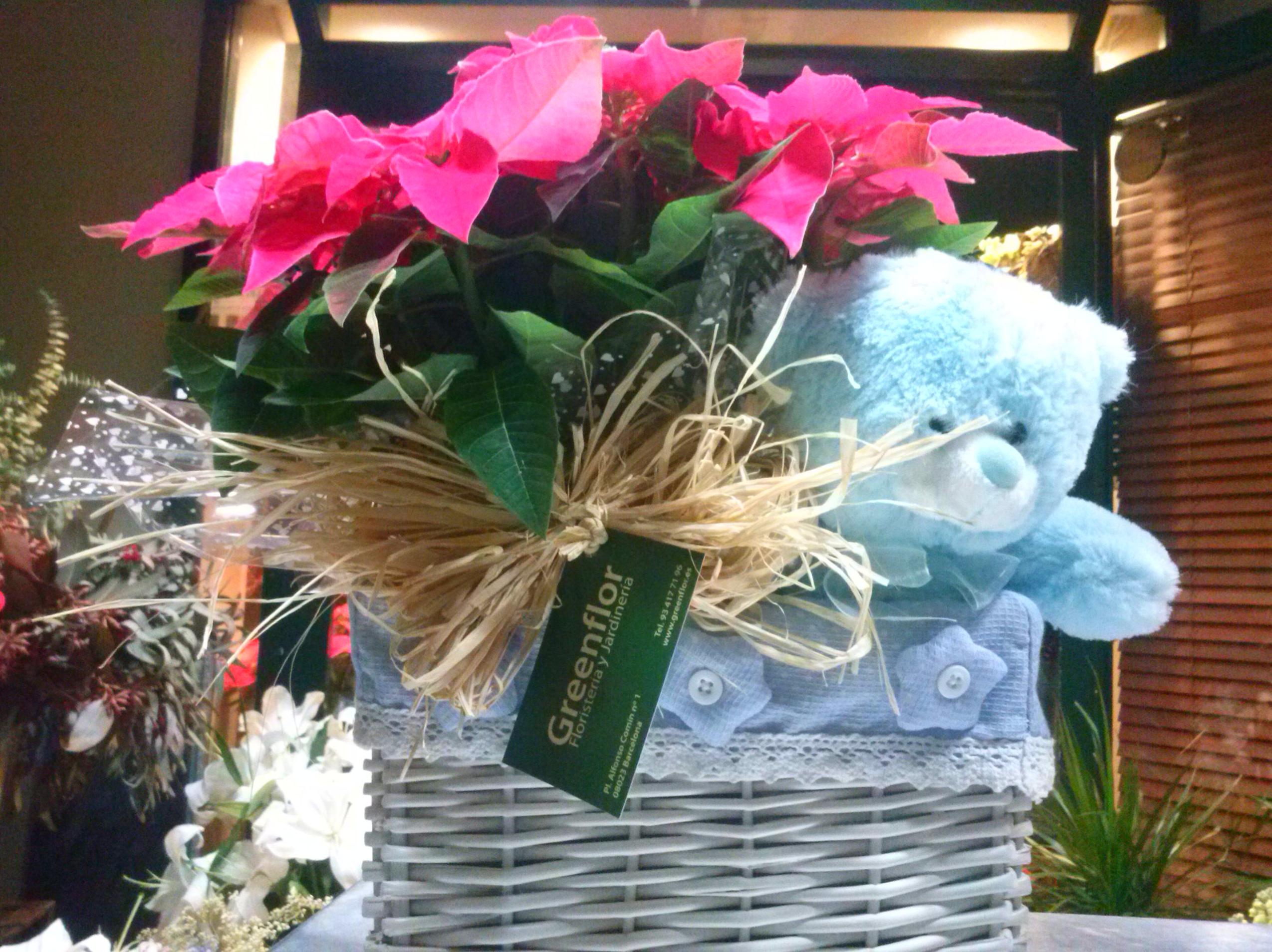 Cesta de mimbre con planta de regalo.: Productos y servicios de Greenflor Cesta de mimbre con planta de regalo.: Productos y servicios de Greenflor