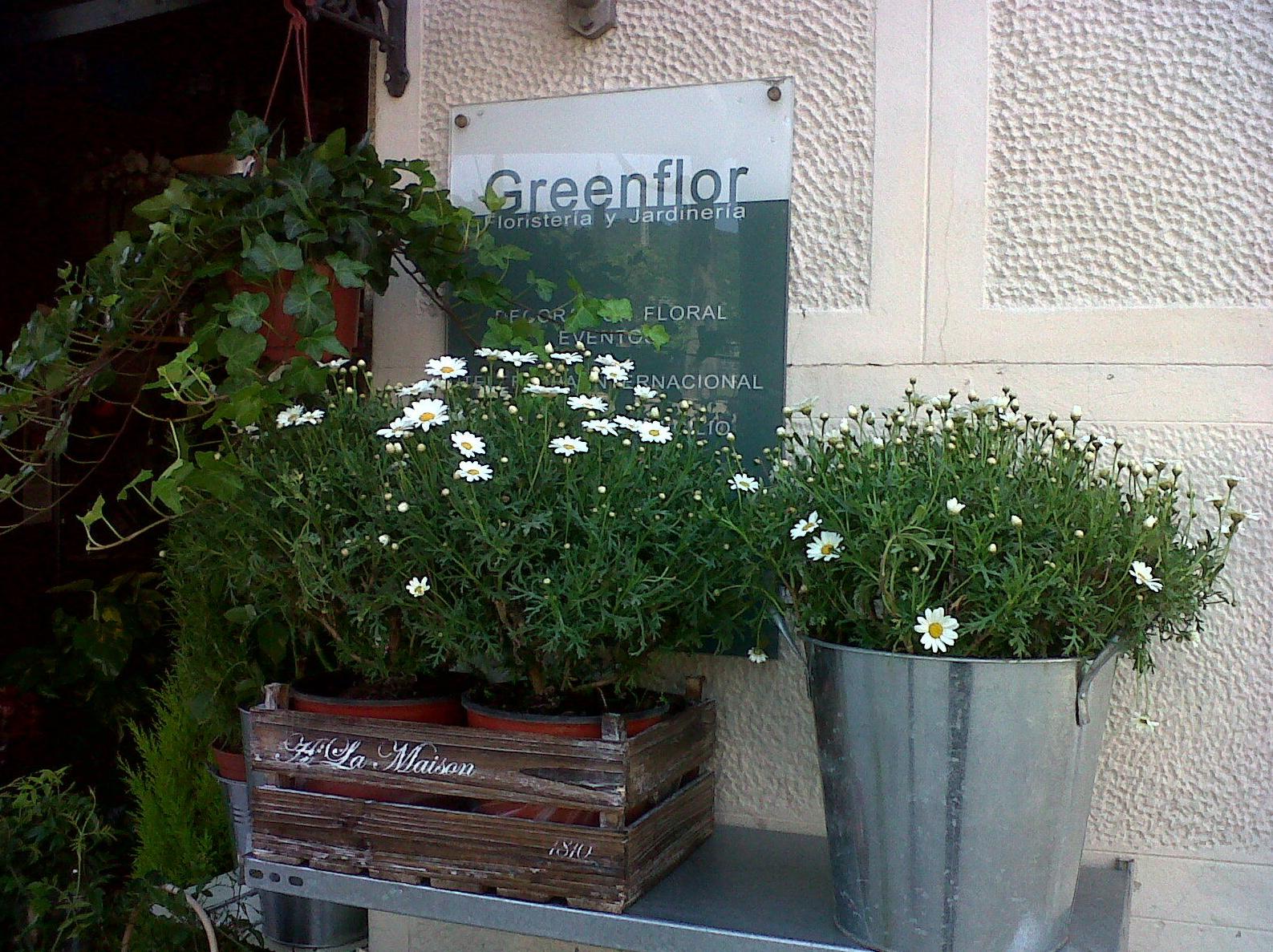 Greenflor, floristeria y jardineria. Greenflor, floristeria y jardineria.