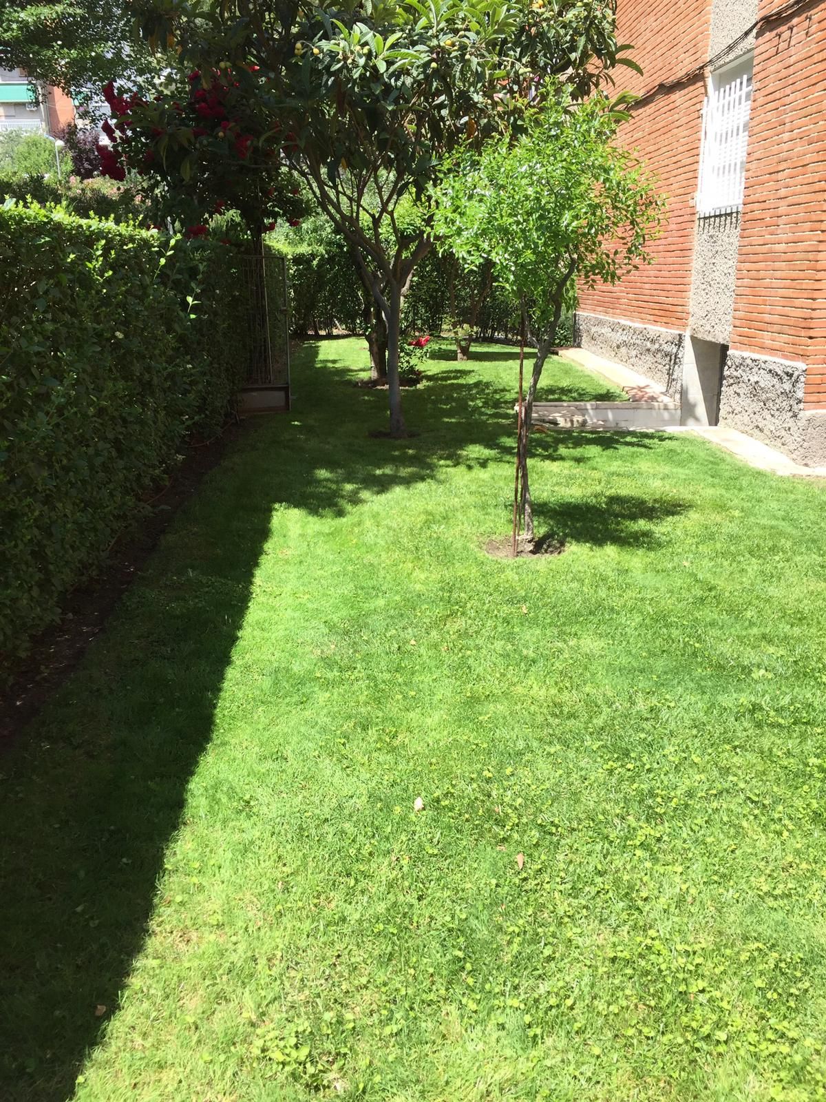 Empresas de jardineros en Sanchinarro, Hortaleza