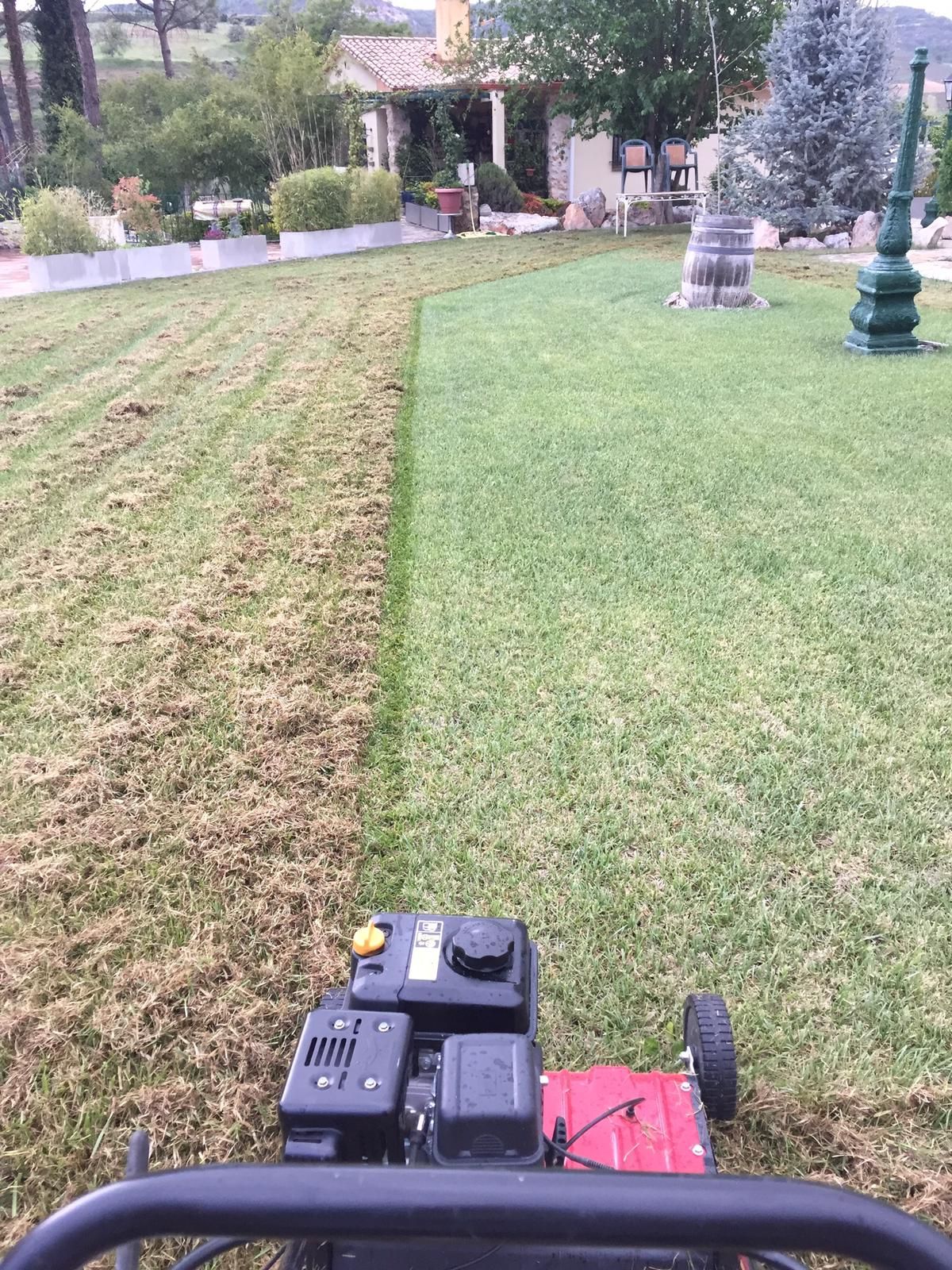 Mantenimiento de jardines en Alcobendas