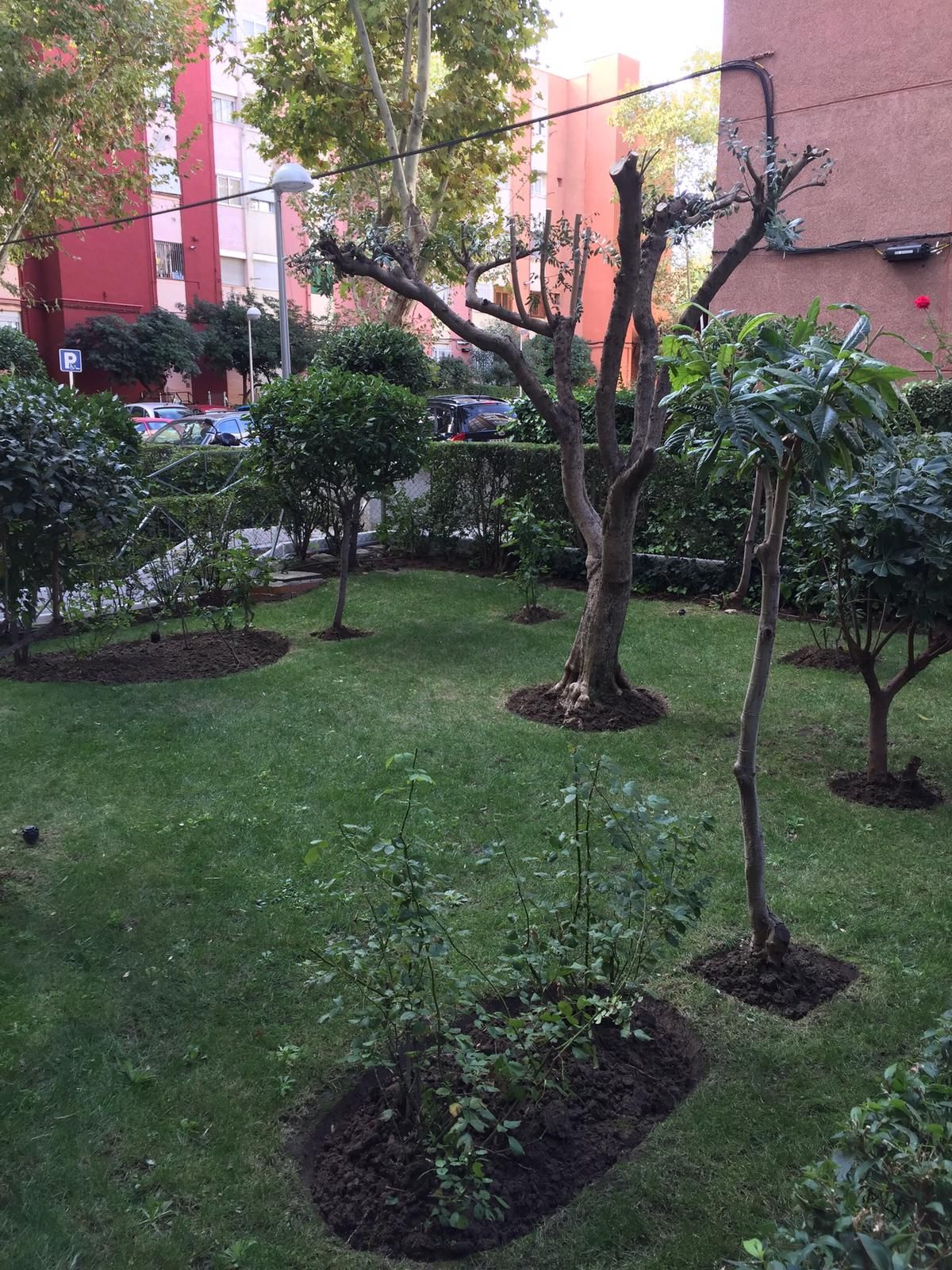 Empresas de jardineros en Hortaleza Madrid