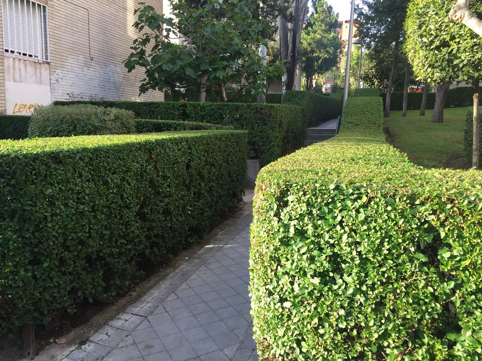 Empresas de jardineros en Hortaleza Madrid