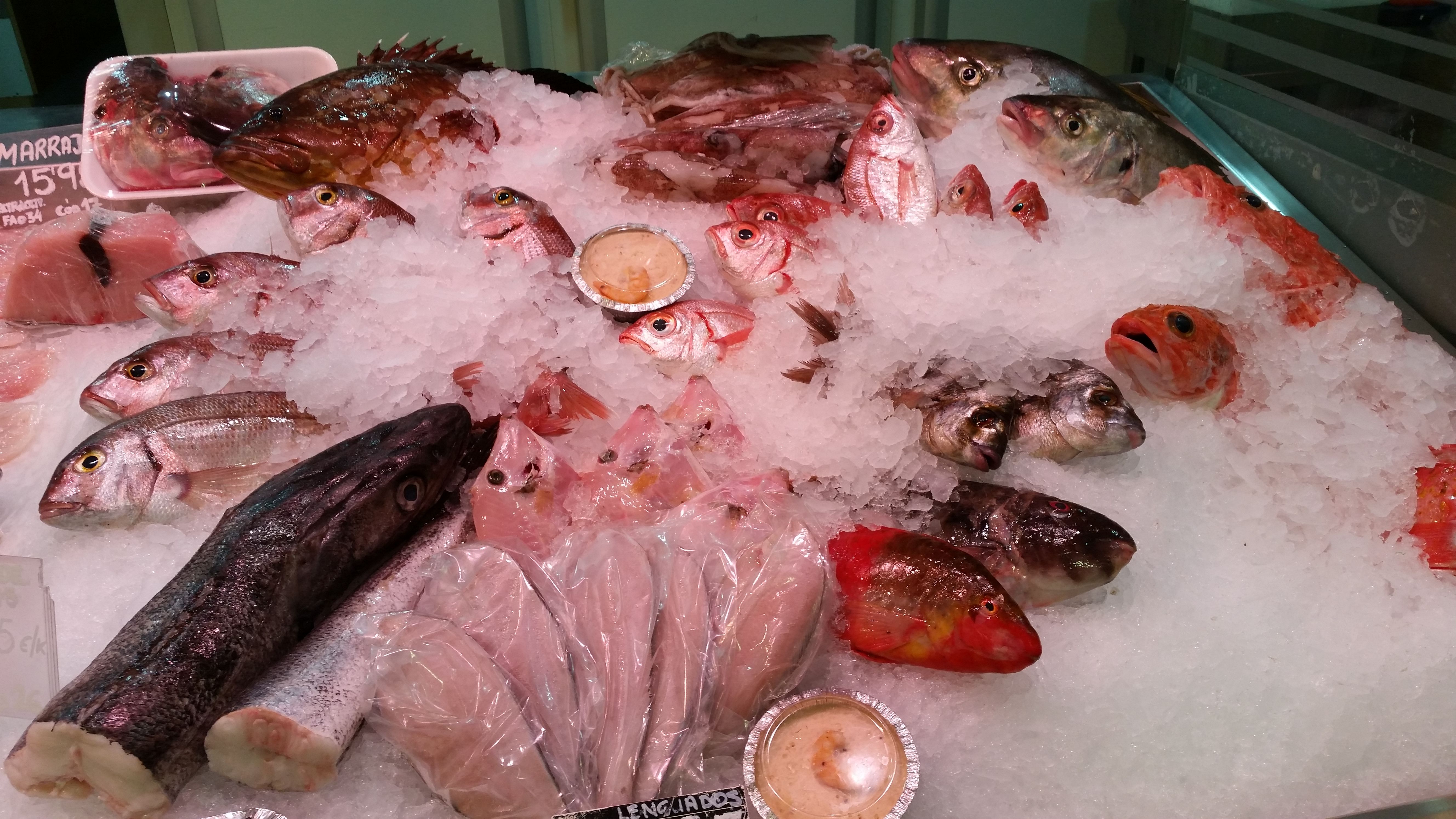 Pescados frescos: Servicios de Pescaderia El Gourmet Del Mar Pescados frescos: Servicios de Pescaderia El Gourmet Del Mar