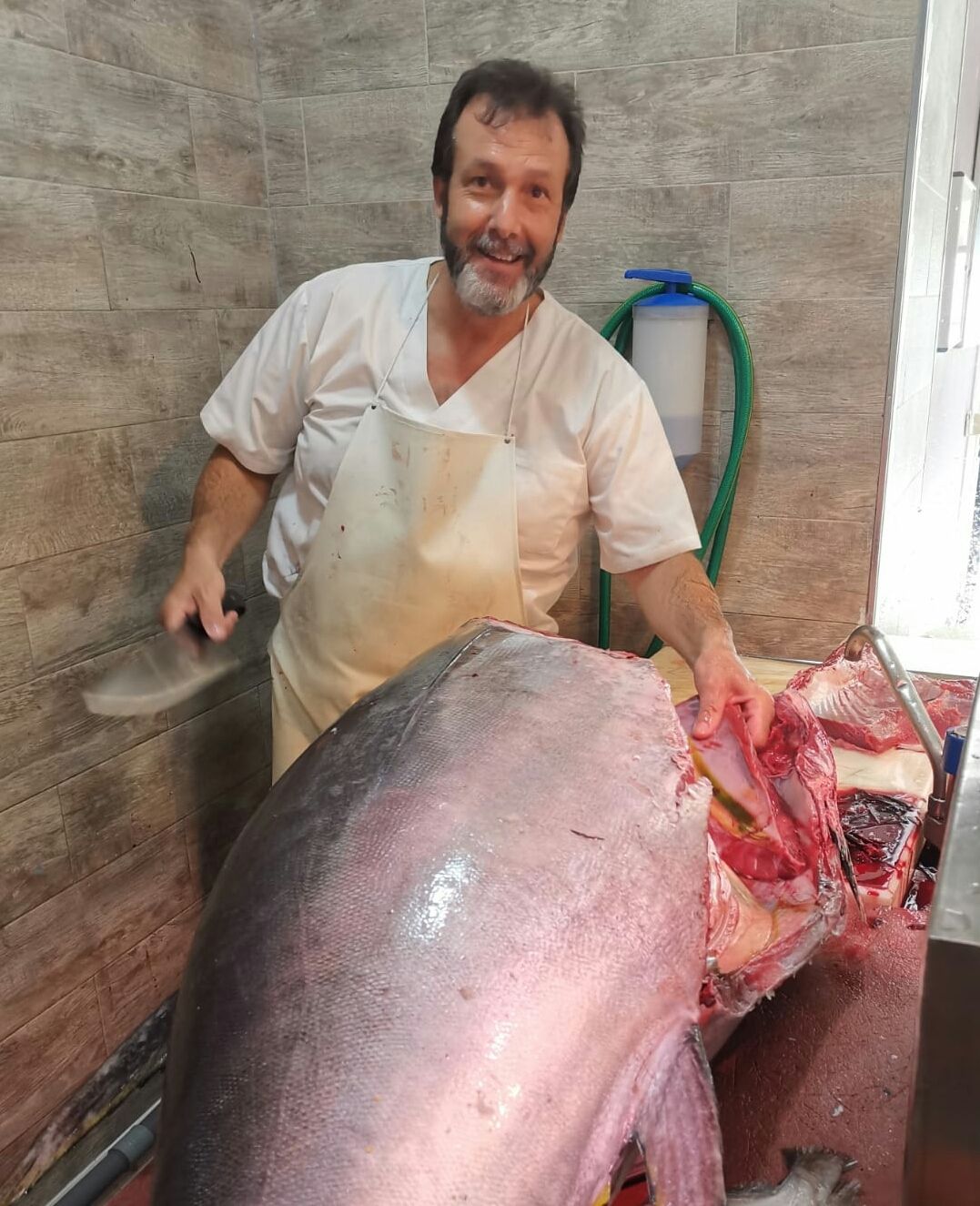 Pescados frescos: Servicios de Pescaderia El Gourmet Del Mar Pescados frescos: Servicios de Pescaderia El Gourmet Del Mar