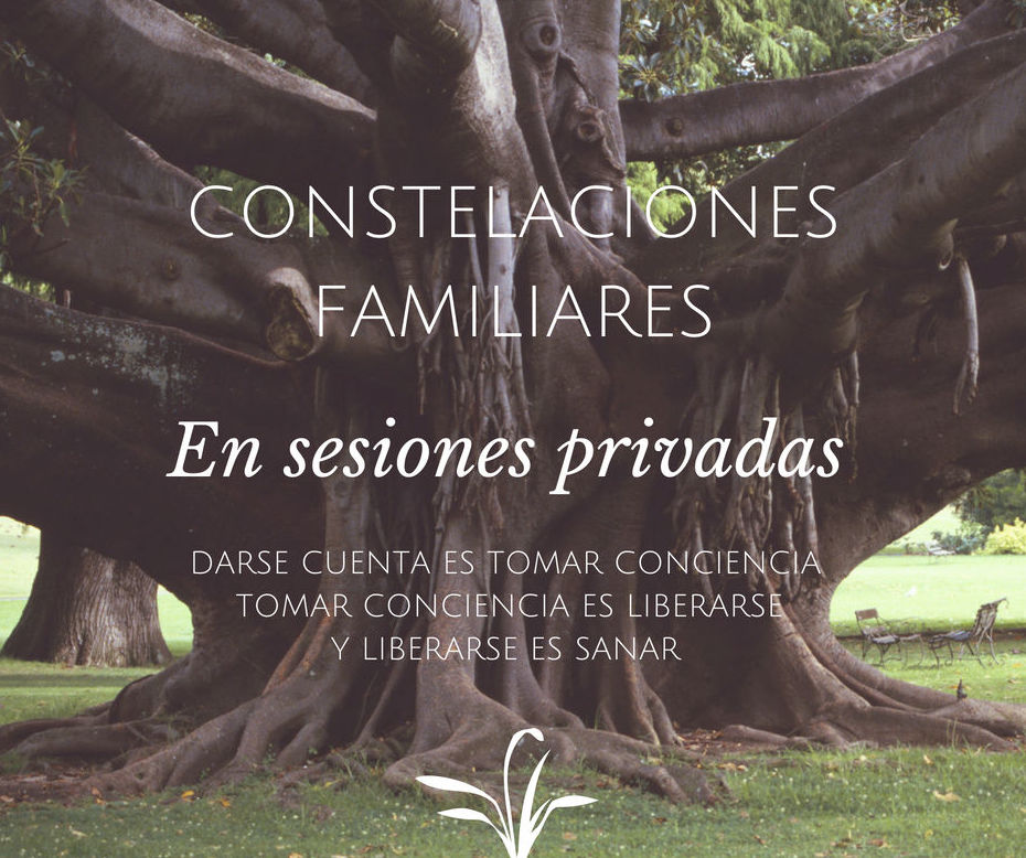 Constelaciones Familiares en sesión Privada.: TERAPIAS Y EVENTOS de Todo Es Vibra Constelaciones Familiares en sesión Privada.: TERAPIAS Y EVENTOS de Todo Es Vibra