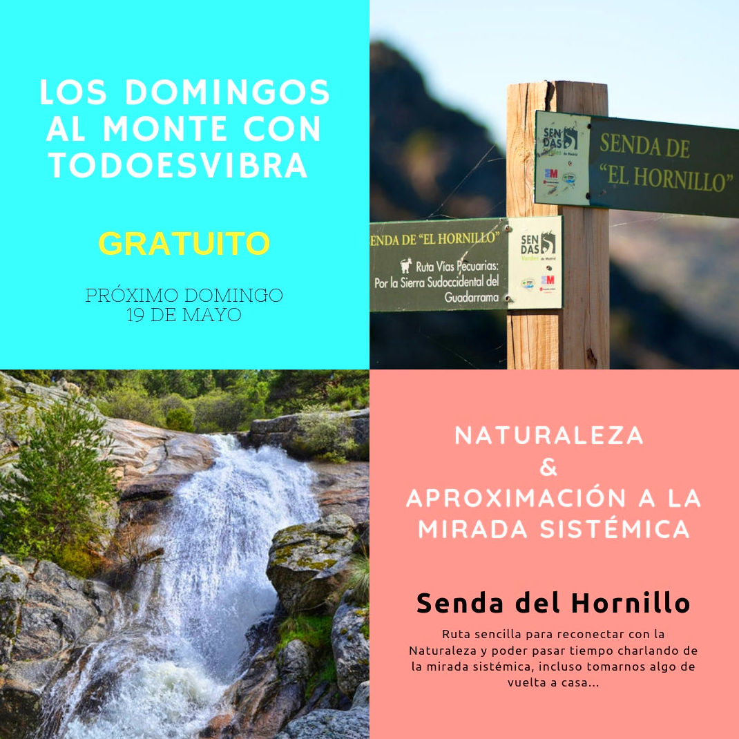 Los Domingos al Monte: TERAPIAS Y EVENTOS de Todo Es Vibra Los Domingos al Monte: TERAPIAS Y EVENTOS de Todo Es Vibra