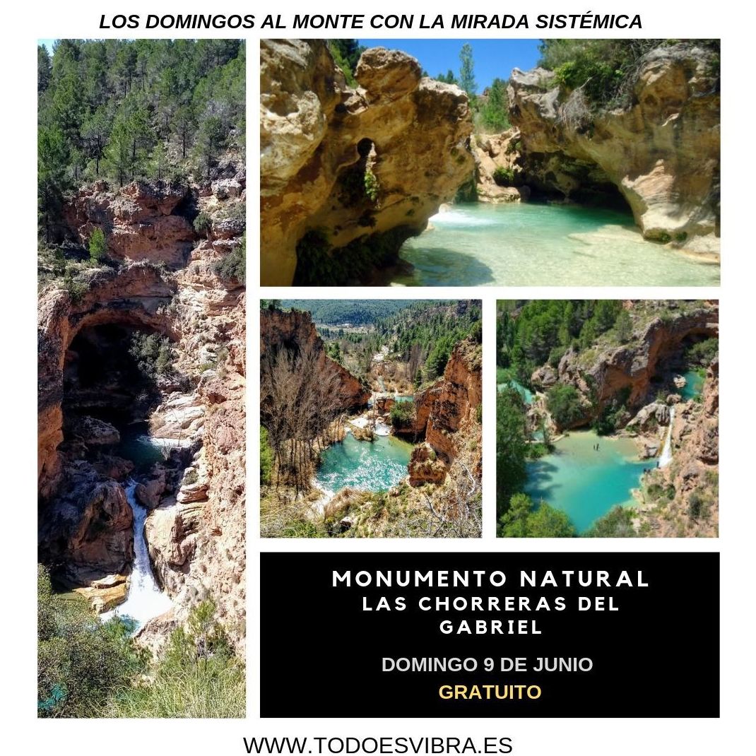 Los Domingos al Monte: TERAPIAS Y EVENTOS de Todo Es Vibra Los Domingos al Monte: TERAPIAS Y EVENTOS de Todo Es Vibra