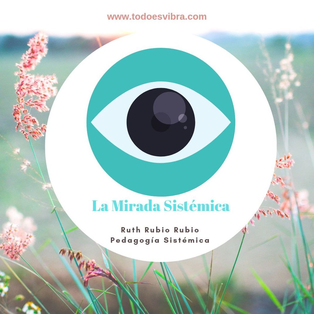 Constelaciones Familiares: Talleres Mensuales: TERAPIAS Y EVENTOS de Todo Es Vibra Constelaciones Familiares: Talleres Mensuales: TERAPIAS Y EVENTOS de Todo Es Vibra