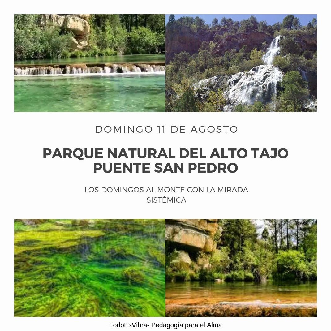 Los Domingos al Monte: TERAPIAS Y EVENTOS de Todo Es Vibra Los Domingos al Monte: TERAPIAS Y EVENTOS de Todo Es Vibra