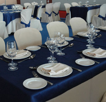 MANTELERIA AZUL Y BLANCO MANTELERIA AZUL Y BLANCO