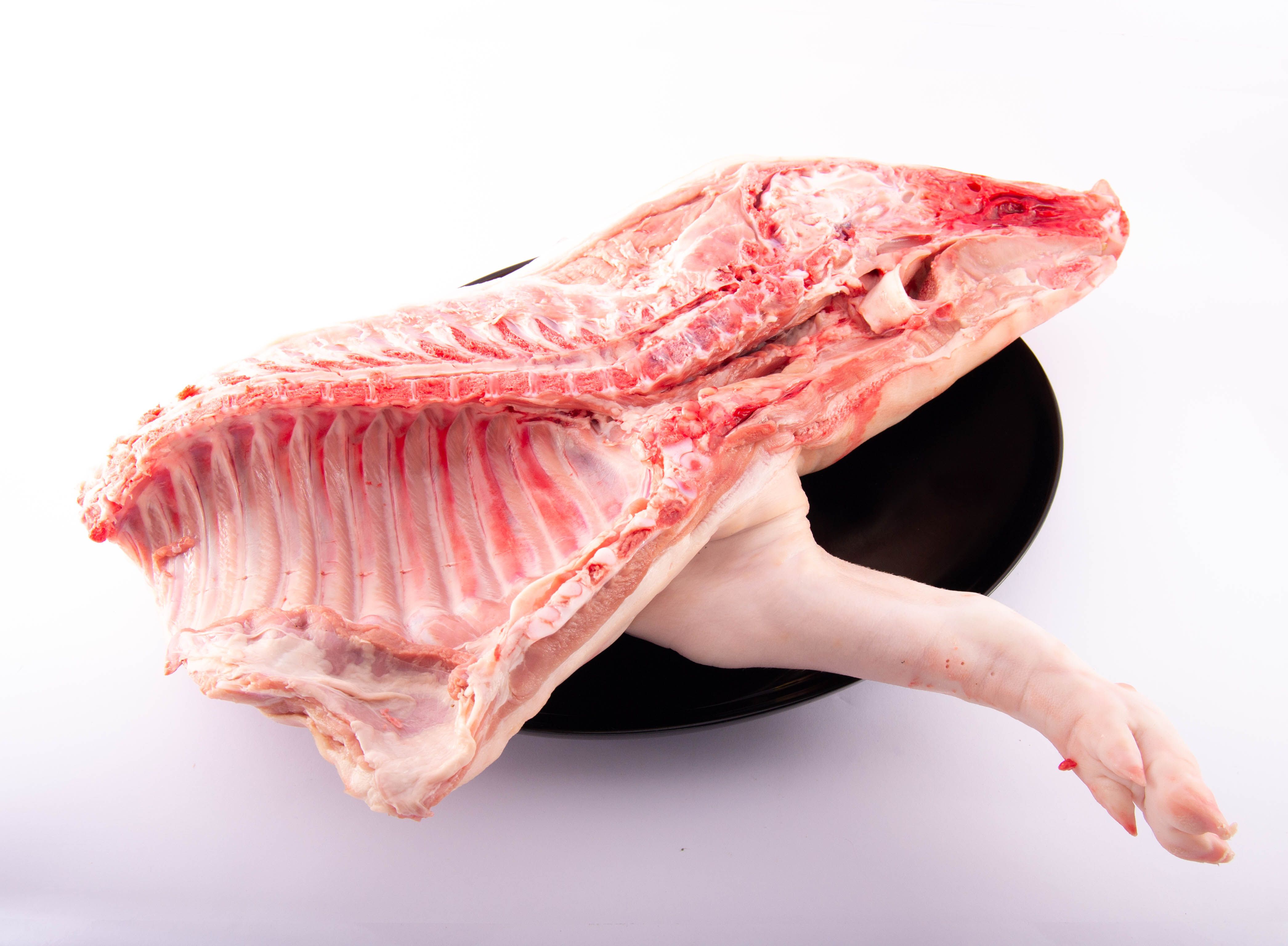 DELANTERO DE LECHONA CON CABEZA - Cortada para plancha: de Ramaders Agrupats DELANTERO DE LECHONA CON CABEZA - Cortada para plancha: de Ramaders Agrupats